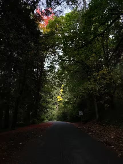 Path to healing